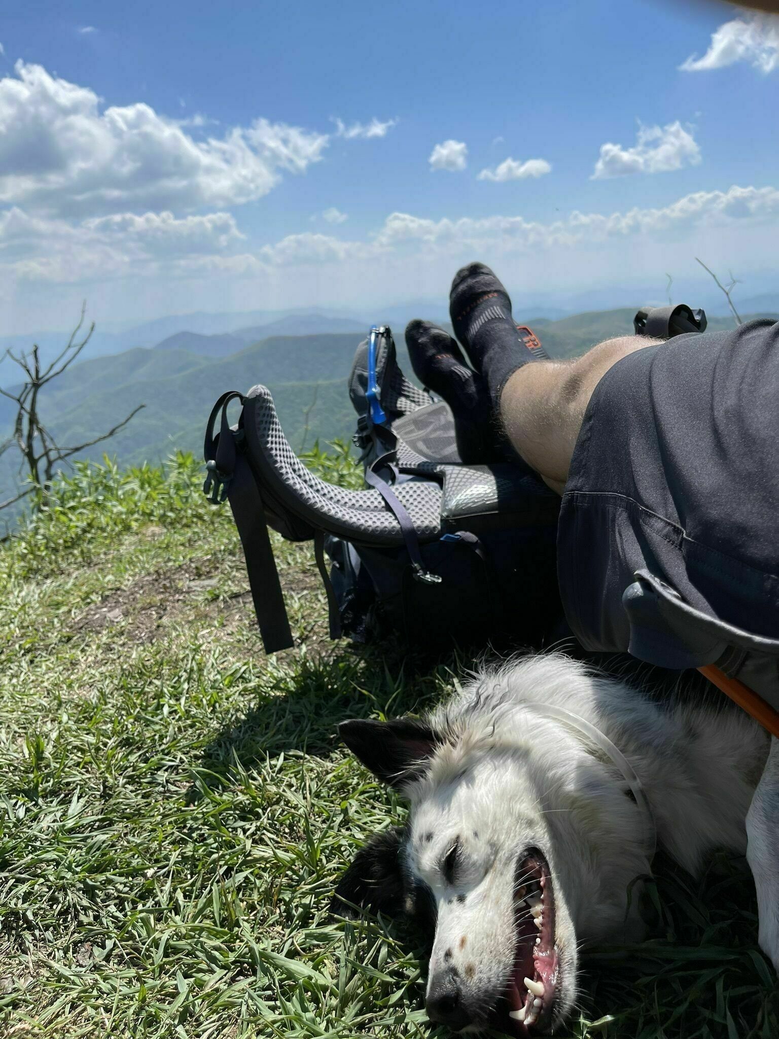 Harley and Carlos on top of the mountain