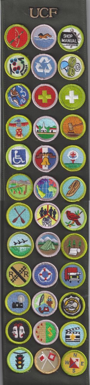 Merit Badge Sash